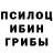 Псилоцибиновые грибы Psilocybine cubensis Prohorov Aleksandr