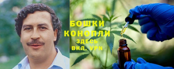 apvp Богданович