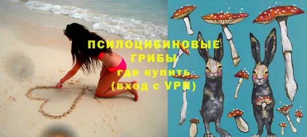 apvp Богданович