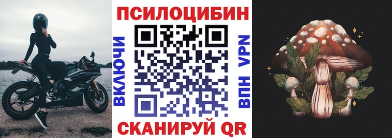 Псилоцибиновые грибы Psilocybe  Купить закладки  Удомля 